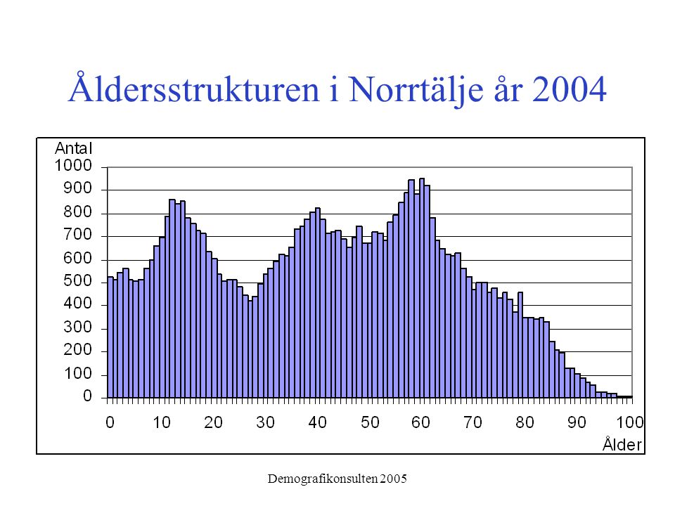 Demografikonsulten 2005 Åldersstrukturen i Norrtälje år 2004