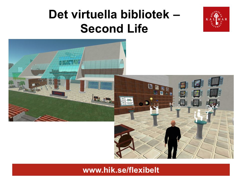 Det virtuella bibliotek – Second Life