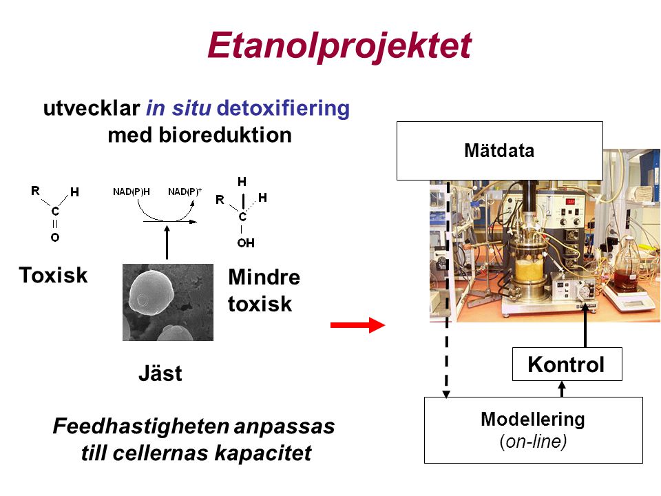 utvecklar in situ detoxifiering med bioreduktion Toxisk Mindre toxisk Jäst Mätdata Modellering (on-line) Kontrol Feedhastigheten anpassas till cellernas kapacitet Etanolprojektet