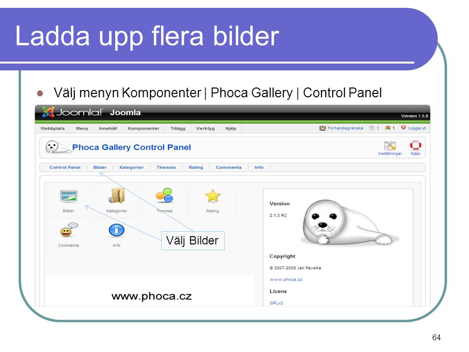 Ladda upp flera bilder  Välj menyn Komponenter | Phoca Gallery | Control Panel Välj Bilder 64