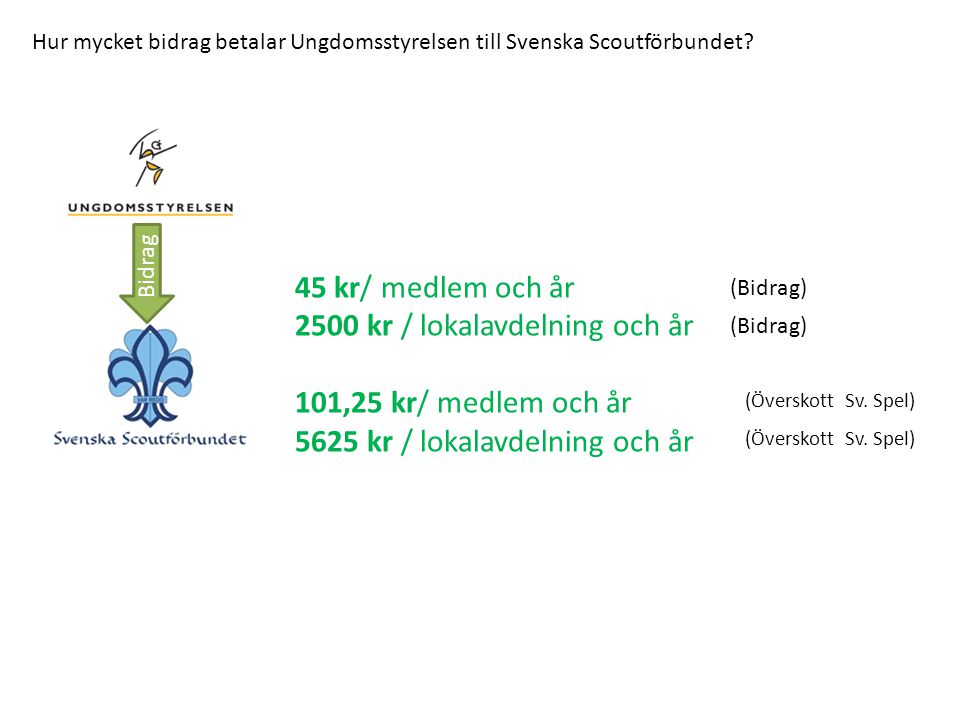 Hur mycket bidrag betalar Ungdomsstyrelsen till Svenska Scoutförbundet.