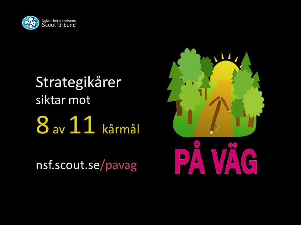 Strategikårer siktar mot 8 av 11 kårmål nsf.scout.se/pavag