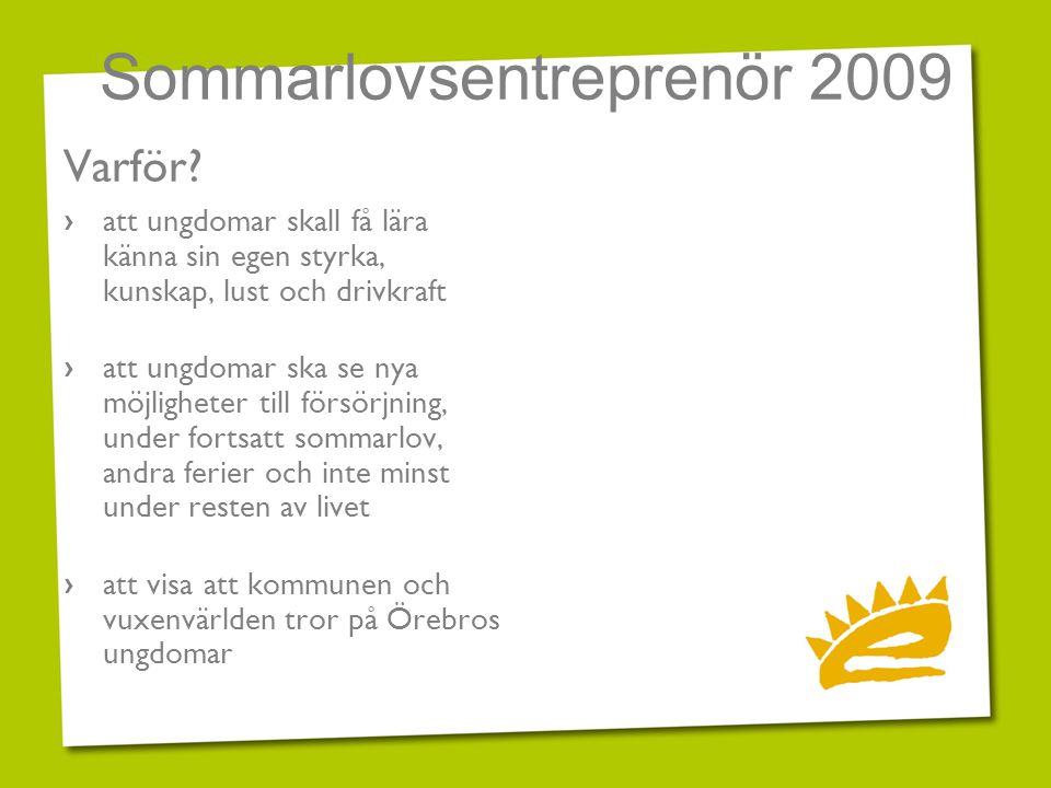 Sommarlovsentreprenör 2009 Varför.