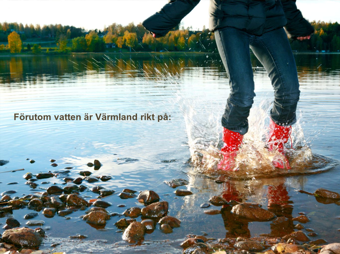Förutom vatten är Värmland rikt på: