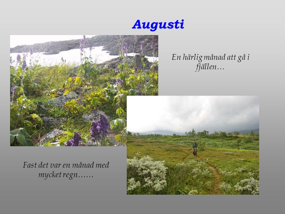 Augusti En härlig månad att gå i fjällen… Fast det var en månad med mycket regn……