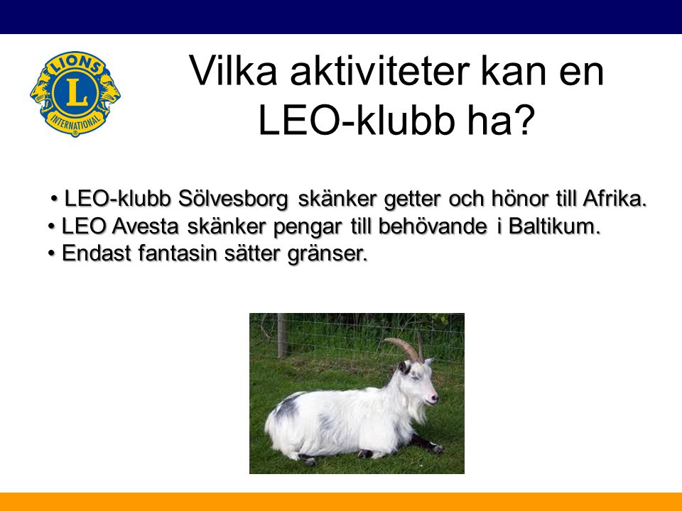 Vilka aktiviteter kan en LEO-klubb ha. • LEO-klubb Sölvesborg skänker getter och hönor till Afrika.