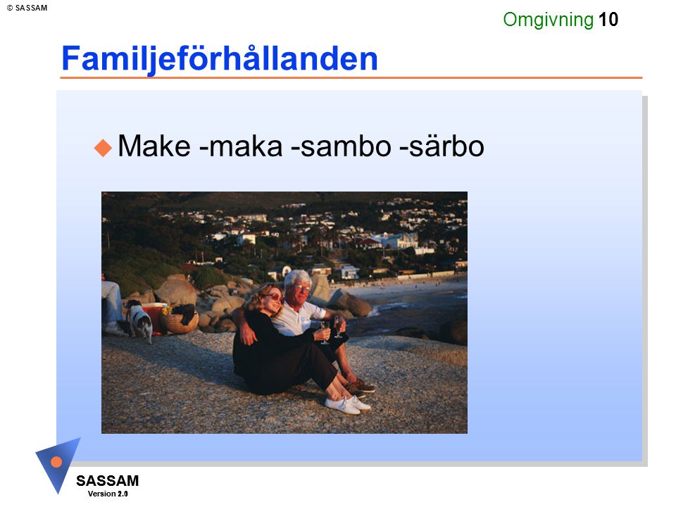 SASSAM Version 1.1 © SASSAM SASSAM Version 2.0 Omgivning 10 Familjeförhållanden u Make -maka -sambo -särbo