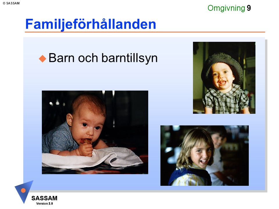 SASSAM Version 1.1 © SASSAM SASSAM Version 2.0 Omgivning 9 Familjeförhållanden u Barn och barntillsyn