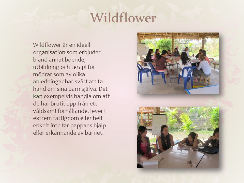 Wildflower Wildflower är en ideell organisation som erbjuder bland annat boende, utbildning och terapi för mödrar som av olika anledningar har svårt att ta hand om sina barn själva.