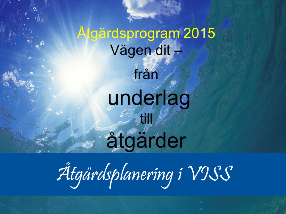 Peter Wihlborg Åtgärdsprogram 2015 Vägen dit – från underlag till åtgärder
