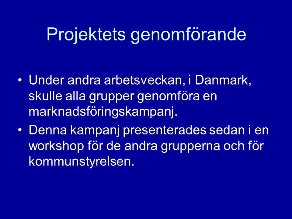 Projektets genomförande •Under andra arbetsveckan, i Danmark, skulle alla grupper genomföra en marknadsföringskampanj.