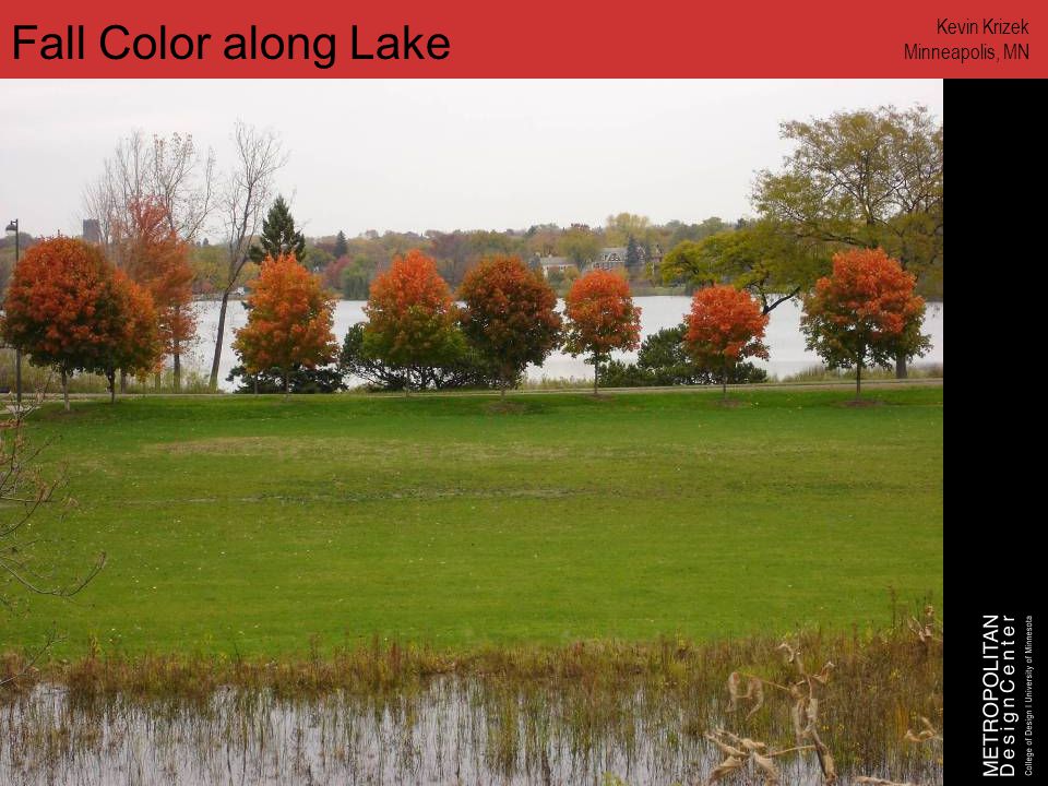 Fall Color along Lake Kevin Krizek Minneapolis, MN