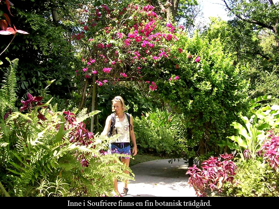 Inne i Soufriere finns en fin botanisk trädgård.