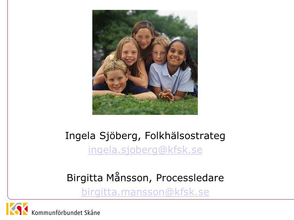 Ingela Sjöberg, Folkhälsostrateg Birgitta Månsson, Processledare