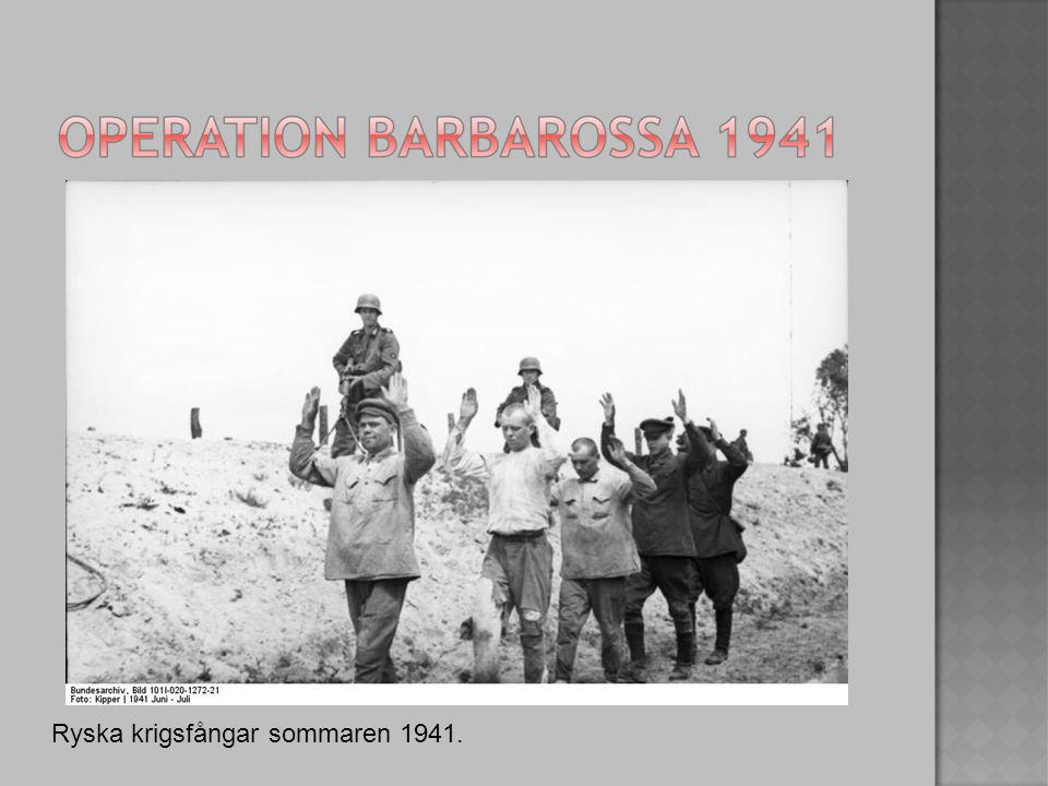 Ryska krigsfångar sommaren 1941.