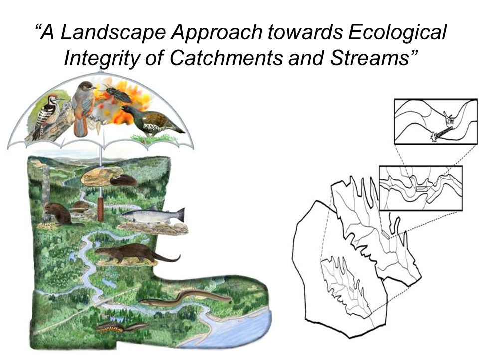 A Landscape Approach towards Ecological Integrity of Catchments and Streams
