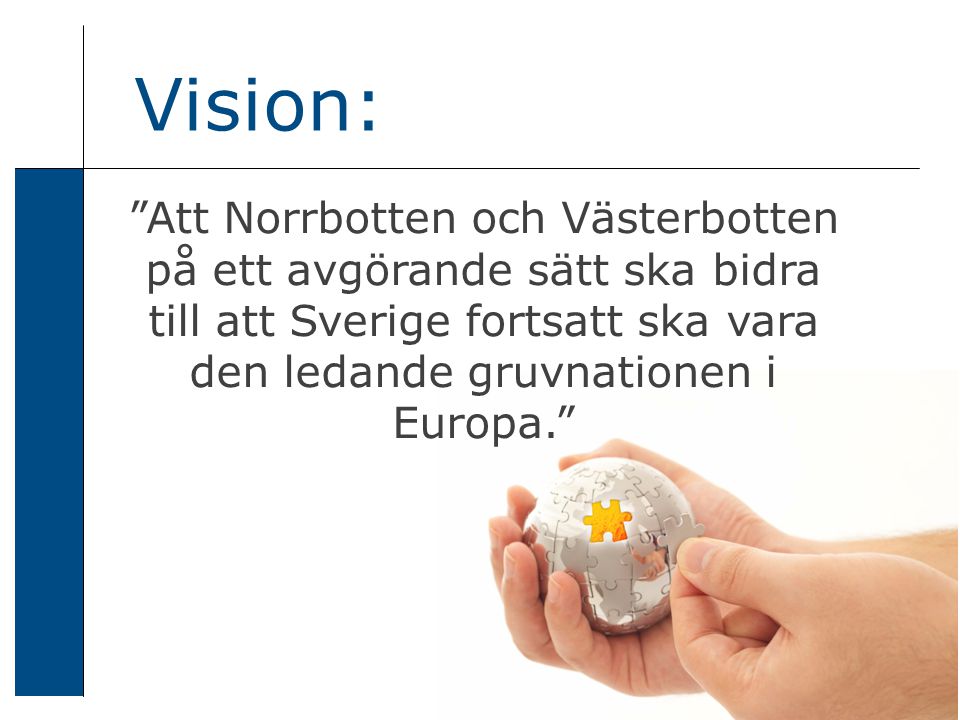 Att Norrbotten och Västerbotten på ett avgörande sätt ska bidra till att Sverige fortsatt ska vara den ledande gruvnationen i Europa. Vision: