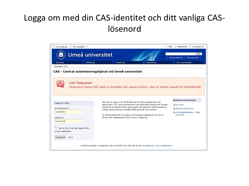 Logga om med din CAS-identitet och ditt vanliga CAS- lösenord