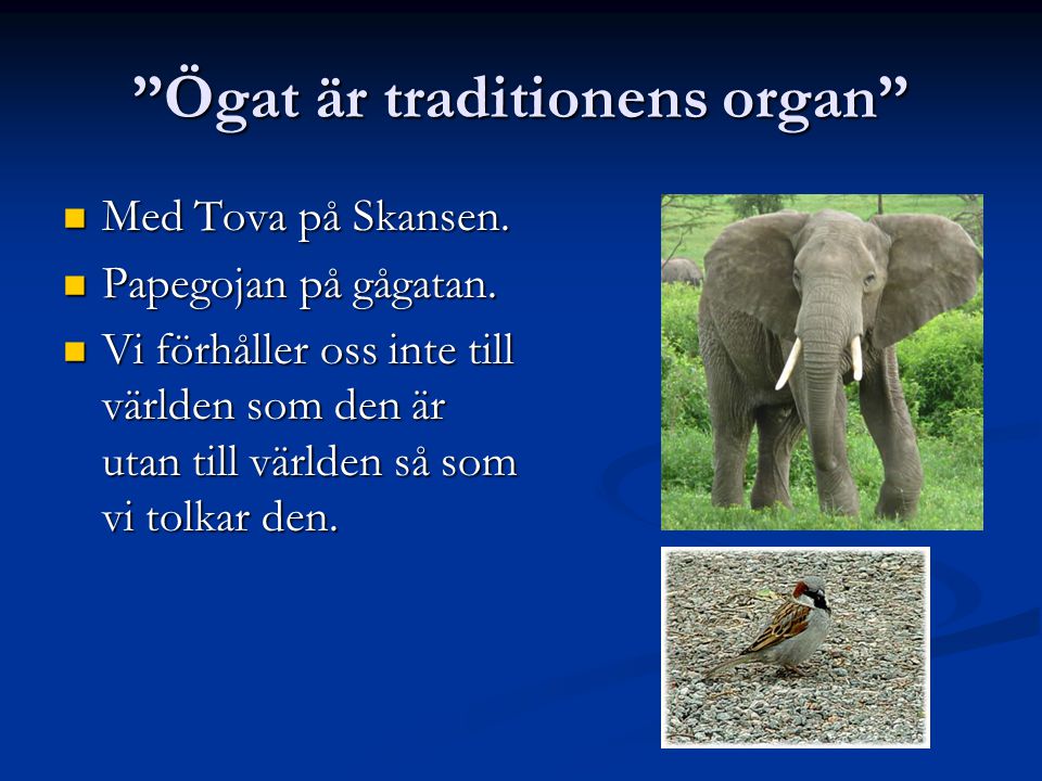 Ögat är traditionens organ Med Tova på Skansen. Med Tova på Skansen.
