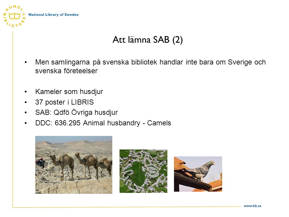 Att lämna SAB (2) Men samlingarna på svenska bibliotek handlar inte bara om Sverige och svenska företeelser Kameler som husdjur 37 poster i LIBRIS SAB: Qdfö Övriga husdjur DDC: Animal husbandry - Camels