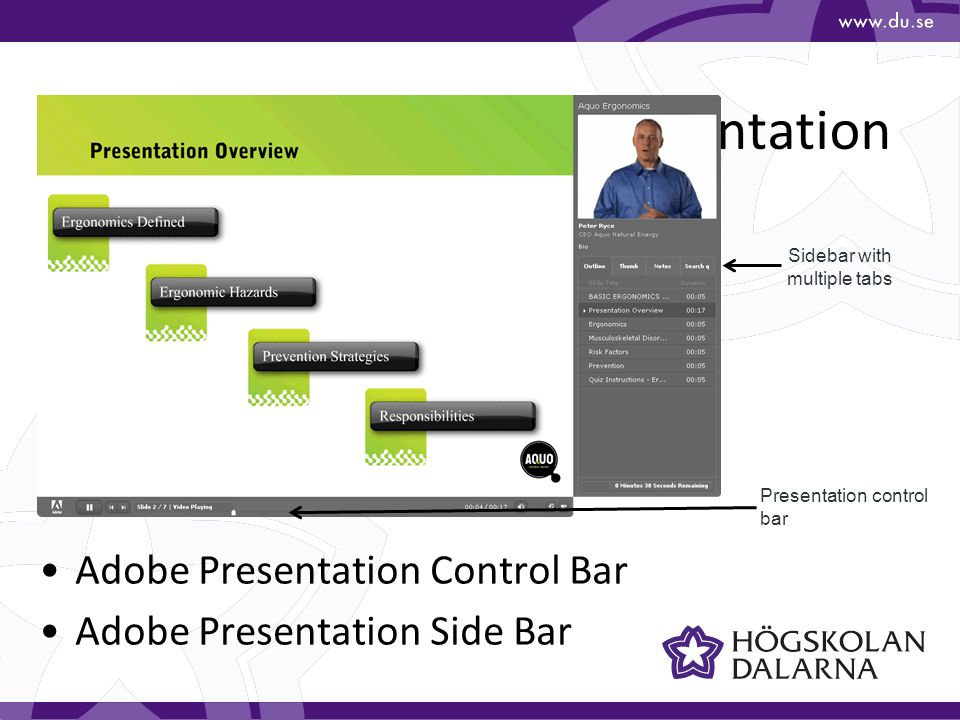 Navigating An Adobe Presentation Adobe Presentation Control Bar Adobe Presentation Side Bar Sidebar with multiple tabs Presentation control bar