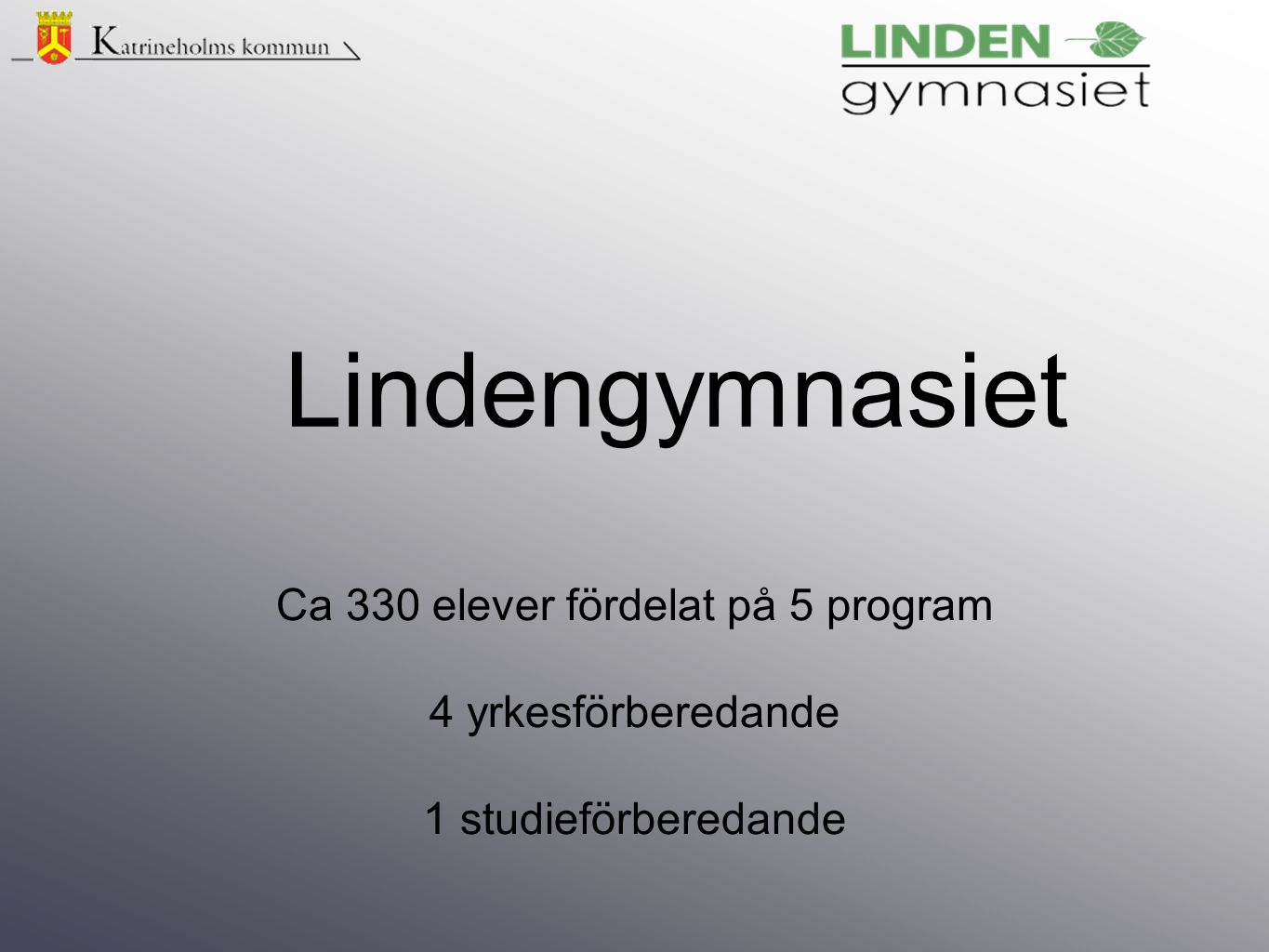 Ca 330 elever fördelat på 5 program 4 yrkesförberedande 1 studieförberedande Lindengymnasiet