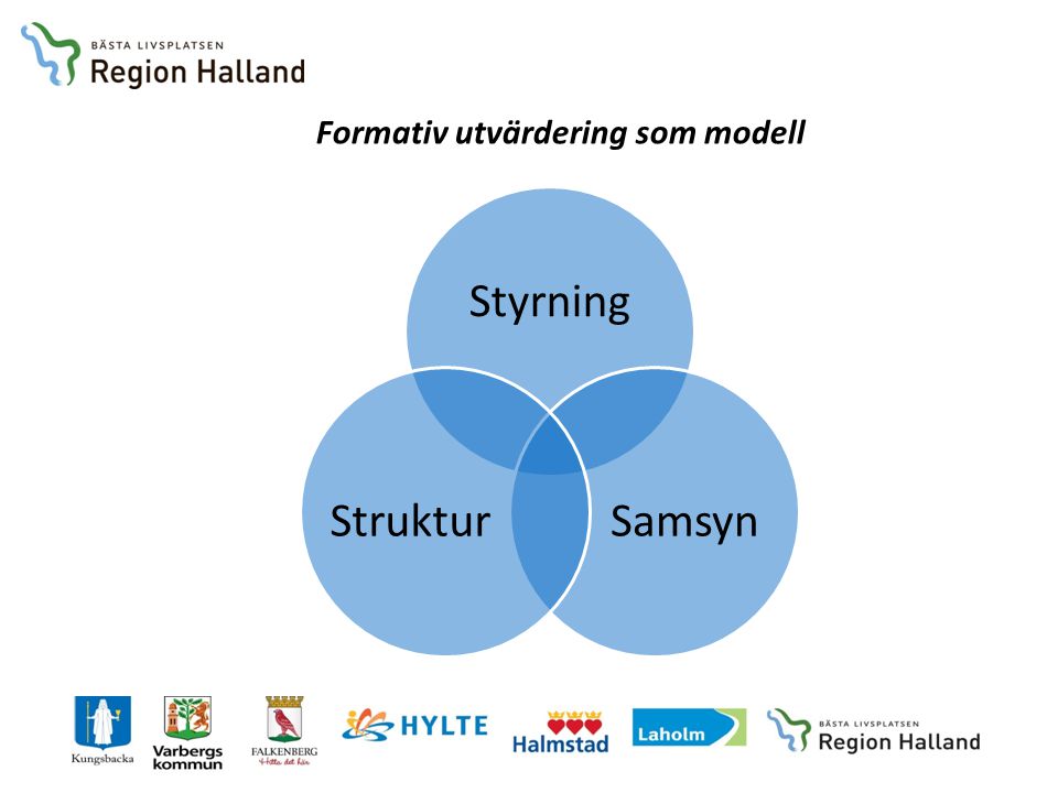 Formativ utvärdering som modell Styrning SamsynStruktur