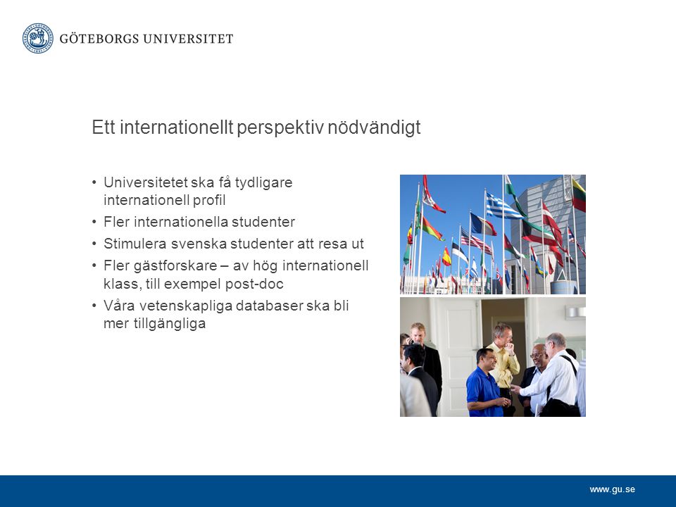 Universitetet ska få tydligare internationell profil Fler internationella studenter Stimulera svenska studenter att resa ut Fler gästforskare – av hög internationell klass, till exempel post-doc Våra vetenskapliga databaser ska bli mer tillgängliga Ett internationellt perspektiv nödvändigt