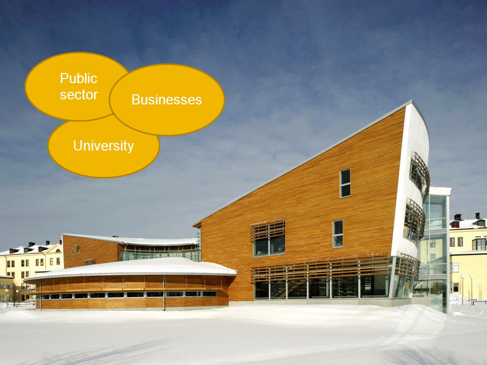 University Public sector Businesses