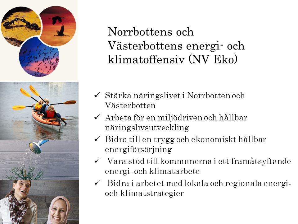 Norrbottens och Västerbottens energi- och klimatoffensiv (NV Eko) Stärka näringslivet i Norrbotten och Västerbotten Arbeta för en miljödriven och hållbar näringslivsutveckling Bidra till en trygg och ekonomiskt hållbar energiförsörjning Vara stöd till kommunerna i ett framåtsyftande energi- och klimatarbete Bidra i arbetet med lokala och regionala energi- och klimatstrategier