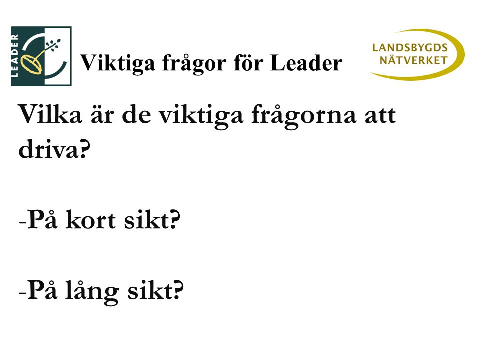 Viktiga frågor för Leader Vilka är de viktiga frågorna att driva -På kort sikt -På lång sikt