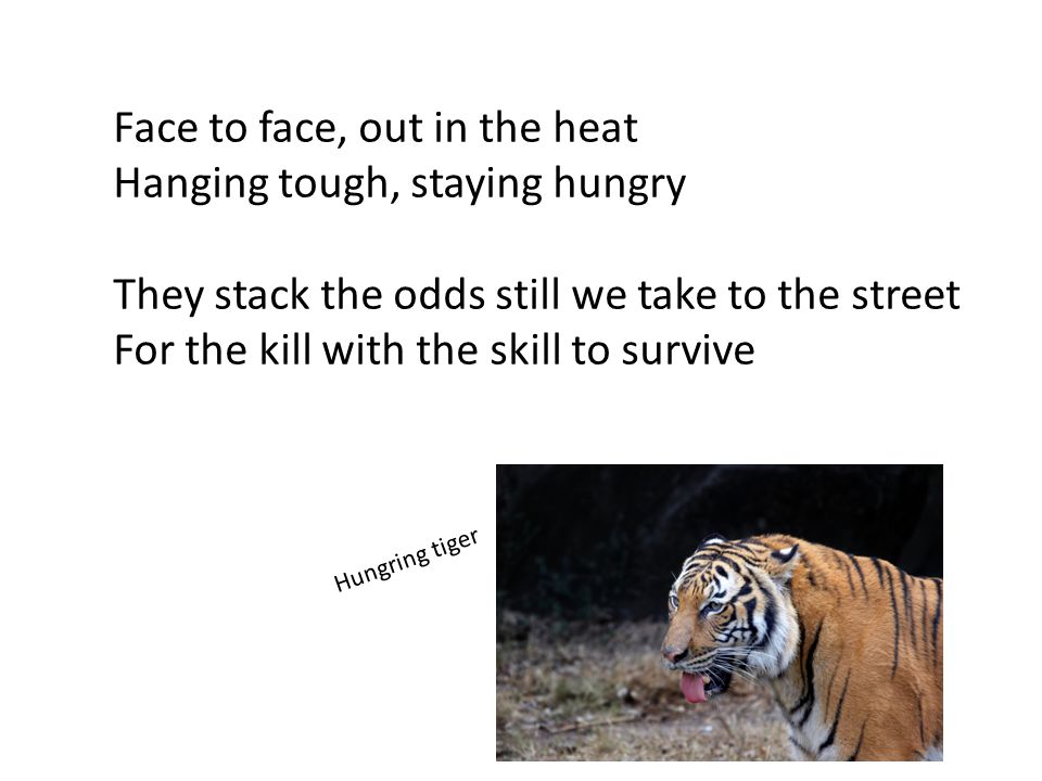 Face to face, out in the heat Hanging tough, staying hungry They stack the odds still we take to the street For the kill with the skill to survive Hungring tiger