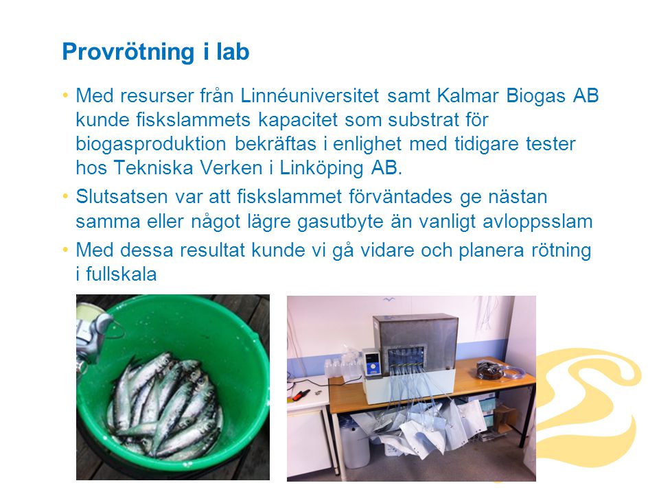 Provrötning i lab Med resurser från Linnéuniversitet samt Kalmar Biogas AB kunde fiskslammets kapacitet som substrat för biogasproduktion bekräftas i enlighet med tidigare tester hos Tekniska Verken i Linköping AB.